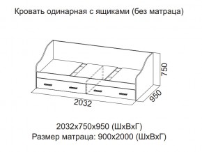 Кровать одинарная с ящиками (Без матраца 0,9*2,0) в Снежинске - snezhinsk.magazin-mebel74.ru | фото